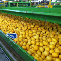 Atos Fructum u poseti turskim proizvođačima citrusa